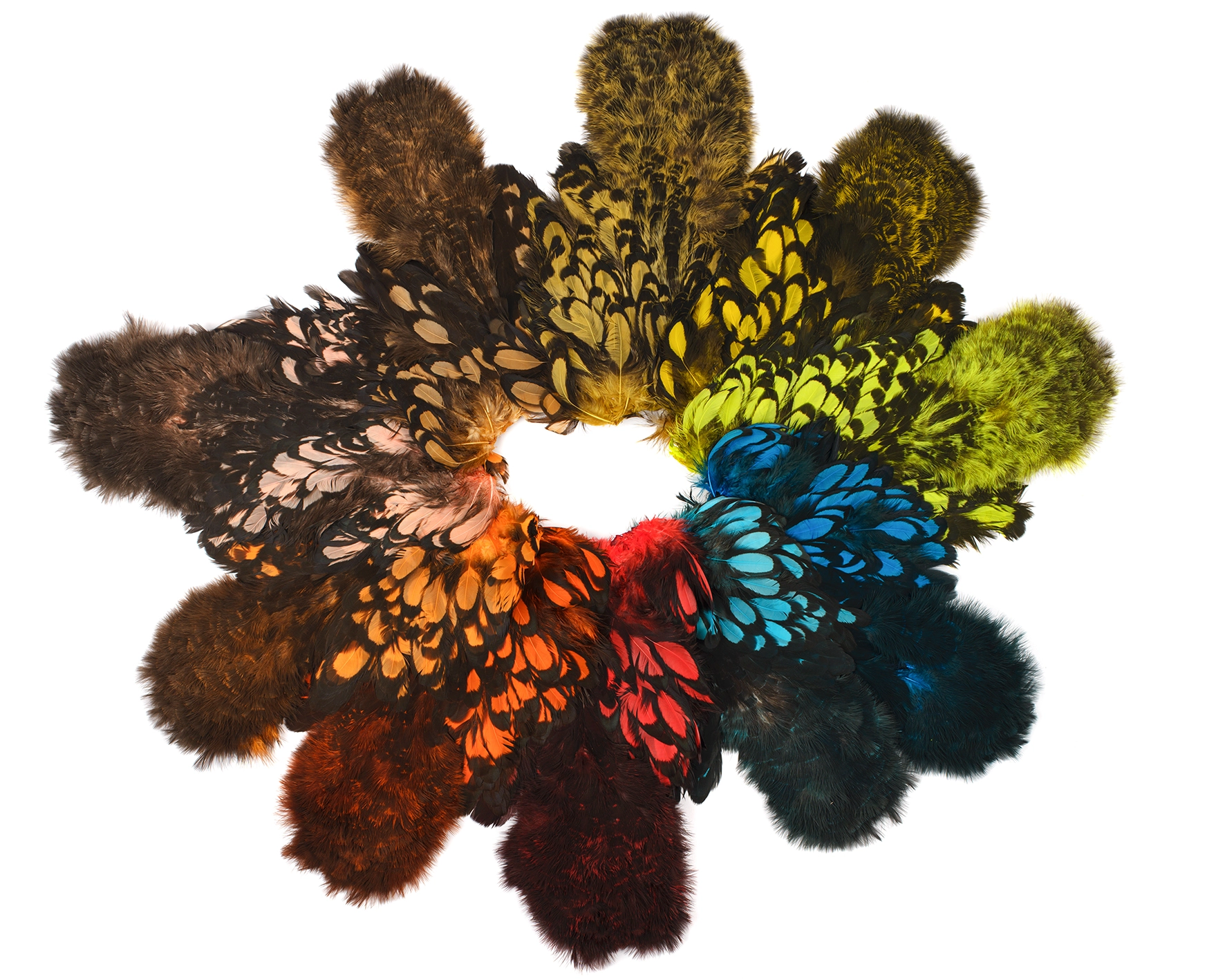 Whiting AMERICAN HEN SH/C BLACK LACED WHITE DYED -kanansatula 3 Whiting AMERICAN HEN SH/C BLACK LACED WHITE DYED -kanansatula