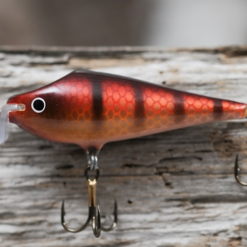 JAN65 -vaappu, Väri:Lapin Tähti, 81