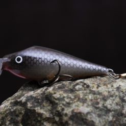 JAN65 -vaappu, Väri:Autiosaari, 5