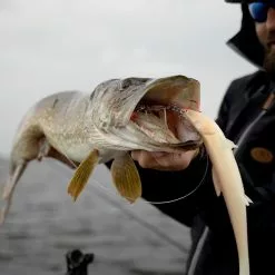 BKK BB Trigger 21 -Talvikalastus Myyntikauppa BB Trigger 21 1