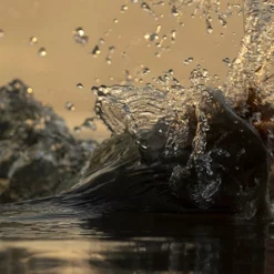 Ahrex PR374 – 90 DEGREE BENT JIG STREAMER -perhokoukut -Talvikalastus Myyntikauppa DFL 18 10 05