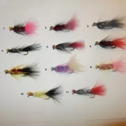 Eräkontio Volfram Leech -heittoperho