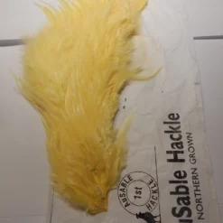Ausable Hackle 1st Grade -pintaperhosatula 1/2,väri:Vaalean Keltainen