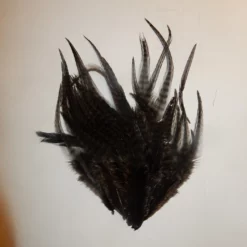 Ausable Hackle -pintaperhosatulan Palanen, Väri:Grizzle Musta