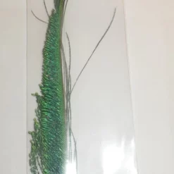 Eumer Riikinkukon Miekkahöyhen Pari