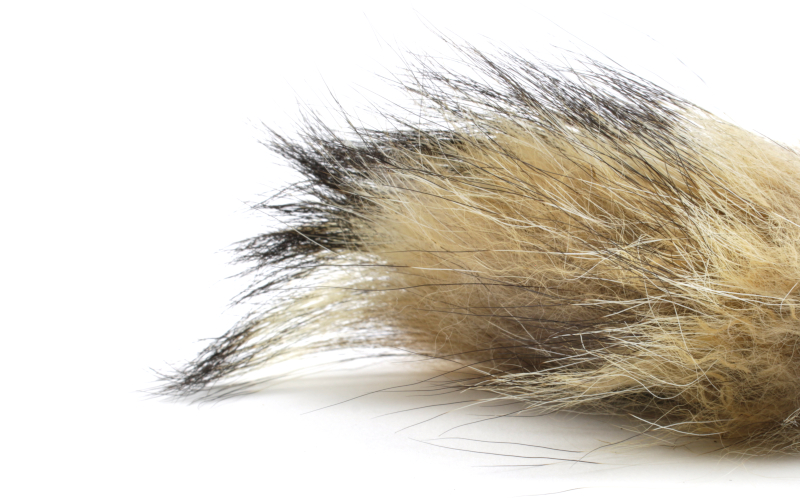 JMC CHICHILLA FOX 3 JMC CHICHILLA FOX