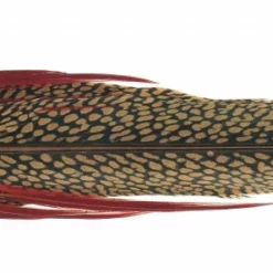 Veniard Kultafasaanin Pyrstö