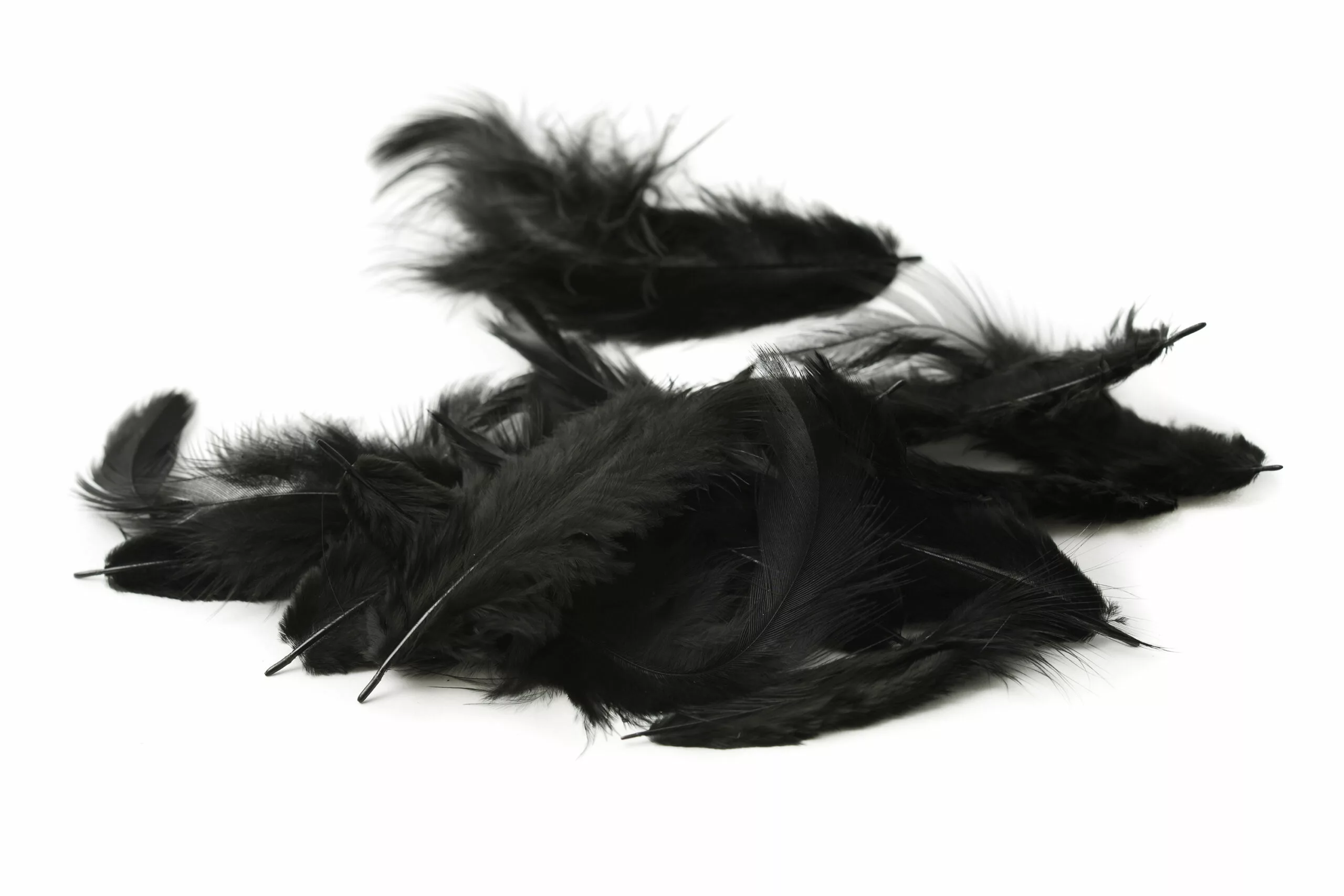 METZ SOFT HACKLE 4 METZ SOFT HACKLE - Image 2