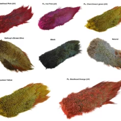 NATURE’S SPIRIT RINGNECK PHEASANT RUMP PATCH 5 NATURE’S SPIRIT RINGNECK PHEASANT RUMP PATCH -Talvikalastus Myyntikauppa NSRINGN