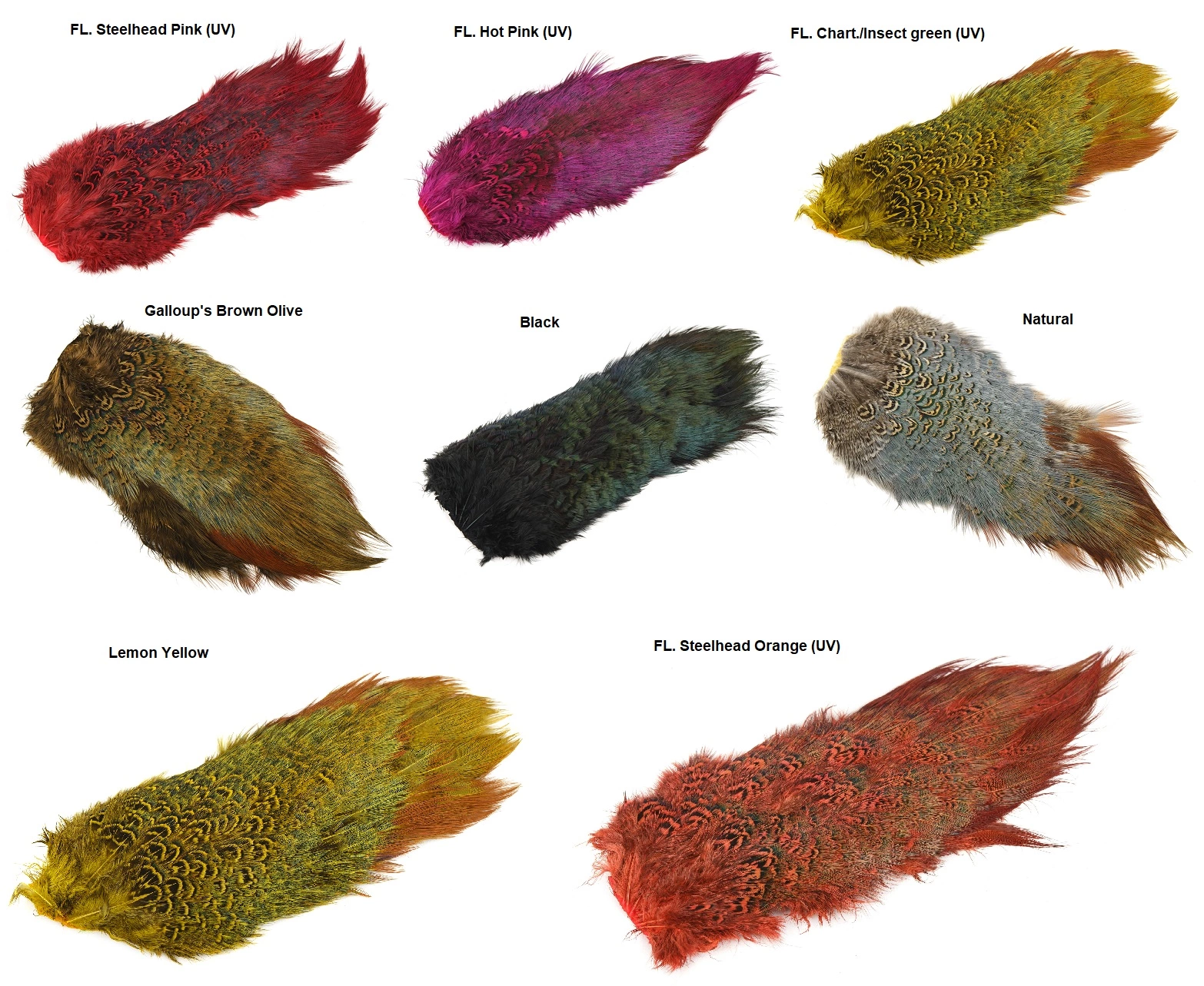 NATURE’S SPIRIT RINGNECK PHEASANT RUMP PATCH 4 NATURE’S SPIRIT RINGNECK PHEASANT RUMP PATCH - Image 2