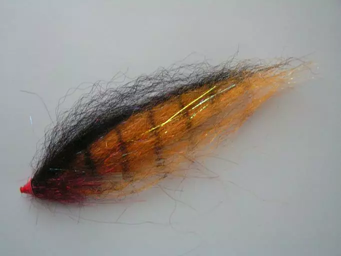 Hauki-Putkiperho 2. 3 Hauki-Putkiperho 2.