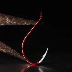 BKK Red Octopus Beak 10 BKK Red Octopus Beak -Talvikalastus Myyntikauppa Red Octopus Beak3