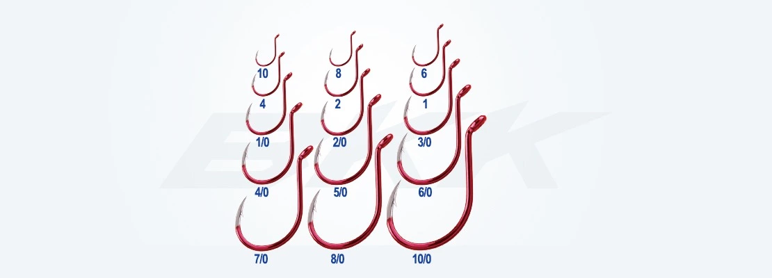 BKK Red Octopus Beak 7 BKK Red Octopus Beak - Image 5