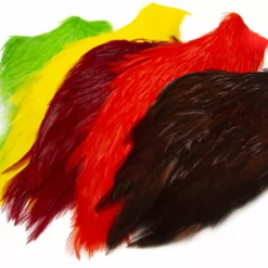 Wapsi CHINESE STREAMER ROOSTER NECK #1