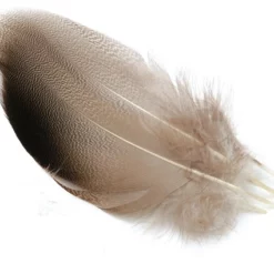 Veniard Mallard Bronze