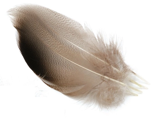 Veniard Mallard Bronze 3 Veniard Mallard Bronze