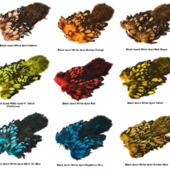 Whiting AMERICAN HEN SH/C BLACK LACED WHITE DYED -kanansatula 5 Whiting AMERICAN HEN SH/C BLACK LACED WHITE DYED -kanansatula -Talvikalastus Myyntikauppa WHITAHENSBL