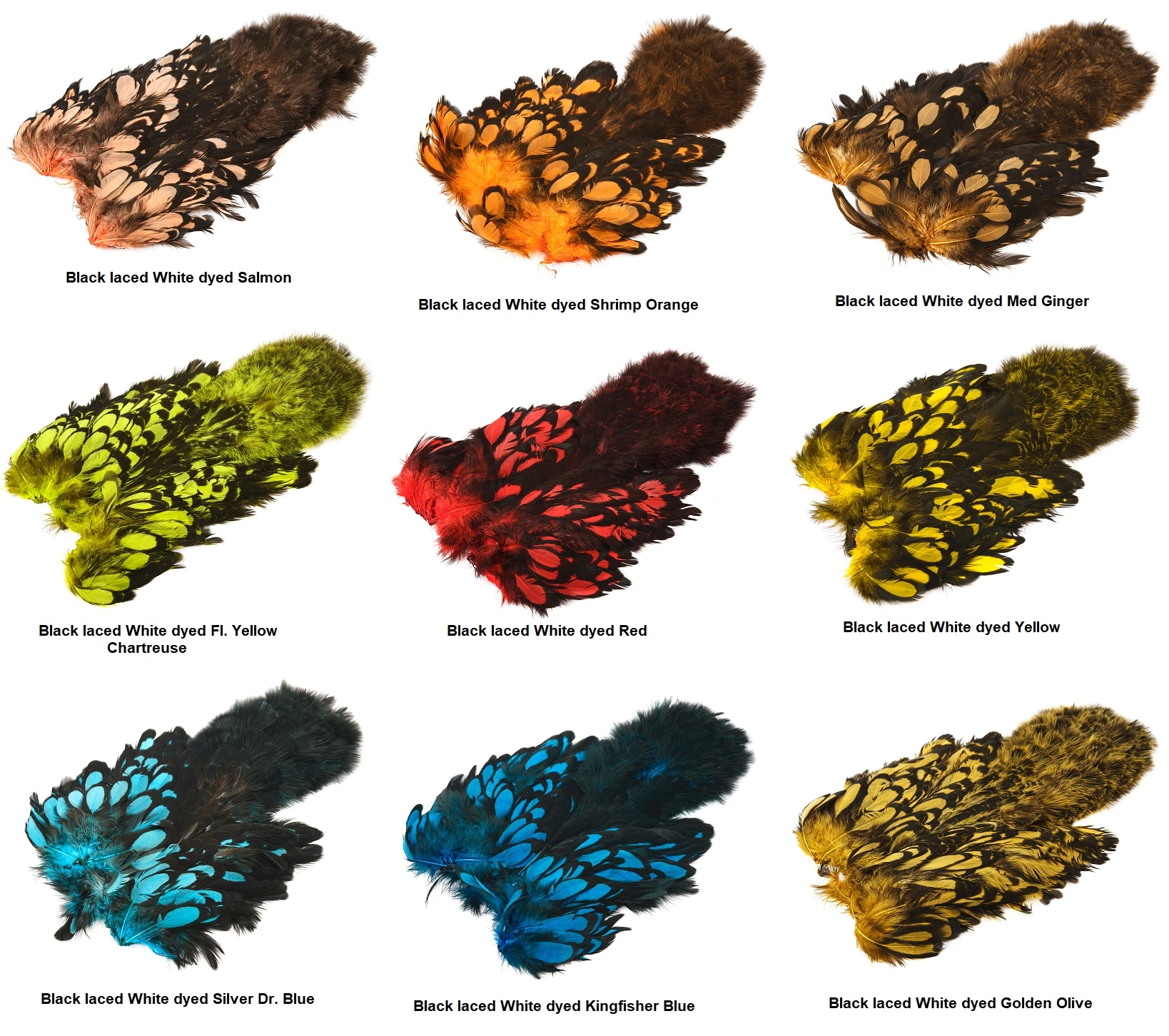 Whiting AMERICAN HEN SH/C BLACK LACED WHITE DYED -kanansatula 4 Whiting AMERICAN HEN SH/C BLACK LACED WHITE DYED -kanansatula - Image 2