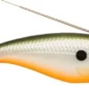 Rapala Weedless Shad WSD08,väri:RFSH -Talvikalastus Myyntikauppa WSD RFSH 1