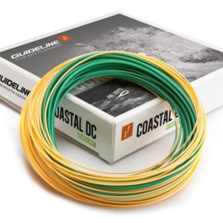 Guideline Coastal Evolve -perhosiima