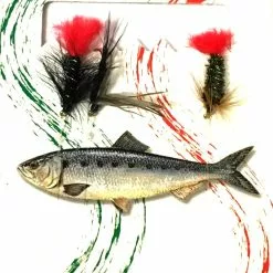 Dida Wet Fly -perholitka