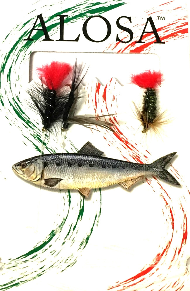 Dida Wet Fly -perholitka 3 Dida Wet Fly -perholitka