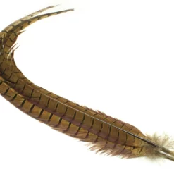 FTS Kultafasaanin Pyrstö