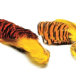 FTS Kultafasaanin Pää