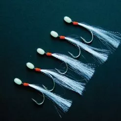 Shakespeare Fluorescent Trace