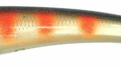 Sebile Koolie Minnow Long Lip Salt & Sun 160mm, IS06