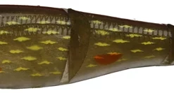 Sebile Magic Swimmer Soft 5″, SP30 -Green Pike