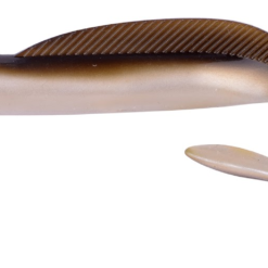 Spro Hyper Eel 26.5cm -jättijigit 2kpl, Väri:004