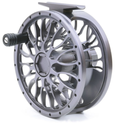 XO #10/12 -perhokela