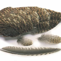 Veniard Woodcock Wings, Natural